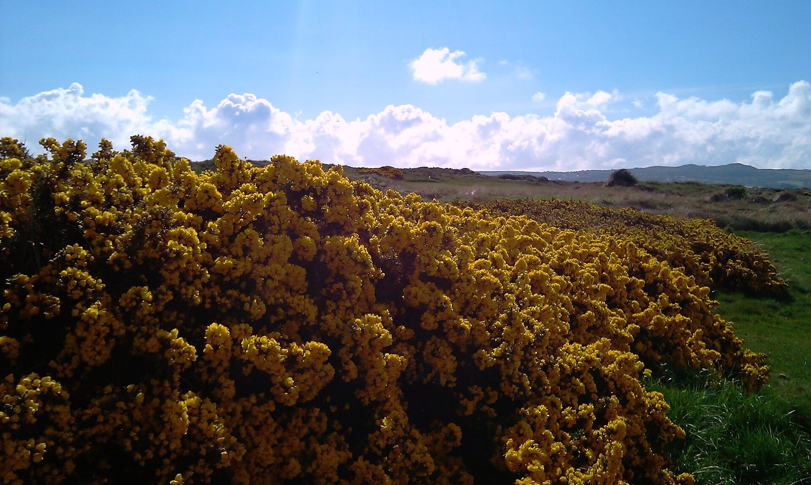 Portmarnock Golf Club, Portmarnock, County Dublin, Ireland